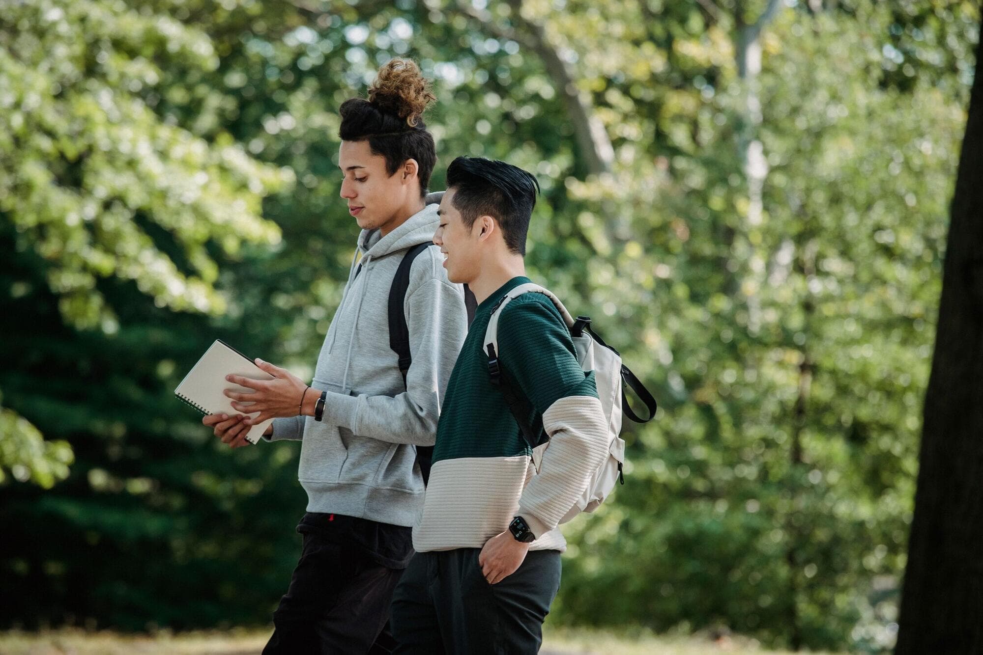 Students walking together on a university campus